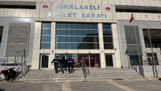Kırklarelinde 2 PKK/KCK ve FETÖ/PDY terör örgütü üyesi yakalandı