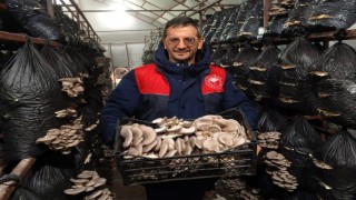Kırklarelinde mantar üretimi yapan işletme denetlendi