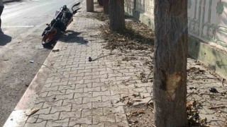 Kontrolden çıkan motosiklet ağaçlara çarparak savruldu: 2 yaralı
