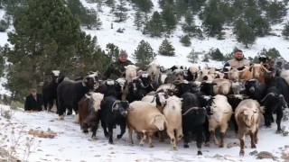 Konyada yaylada yoğun kardan mahsur kalan besiciler yol açılarak kurtarıldı