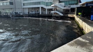 Körfezde bu defa petrol kaynaklı kirlilik: Deniz yüzeyi siyah yağ tabakası ile kaplandı