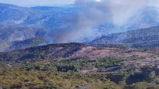Köyceğizde orman yangını devam ediyor