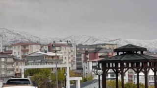 Kulp ilçesinde kar yağışı