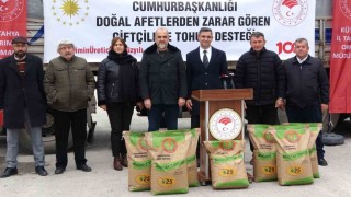 Kütahyada doğal afetlerden zarar gören 301 üreticiye hububat tohumu desteği