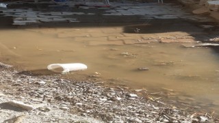 Lağım Suları Mahalleyi Esir Aldı