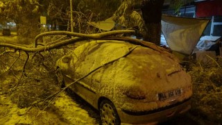 Malatyada kardan kırılan ağaç dalları araçların üzerine devrildi