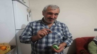 Malatyalı çiftçinin zeytin sevinci