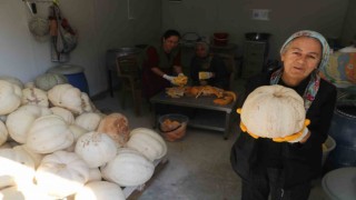 Marinin bal kabakları depremzede kadınlara umut oldu