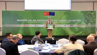 Mersin tarımının geleceğini şekillendirecek eylem planı oluşturuluyor
