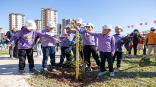 Mersinde 30 dönümlük Defne Koruluğu oluşturuluyor