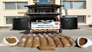 Mersinde 455 kilo kaçak tütün ele geçirildi