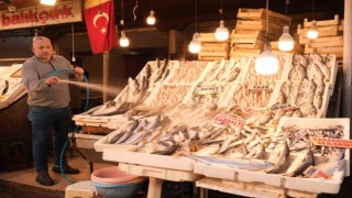 Mersinde dev balık bin 500 liradan alıcı buldu