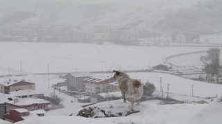 Meteorolojiden Bayburt için kar yağışı uyarısı