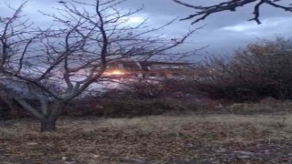 Meyve ağaçları tutuştu, yangının evlere sıçramasını ekipler önledi