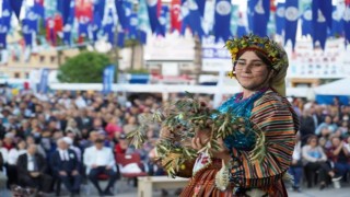 Milasta zeytin hasat şenliği için geri sayım başladı