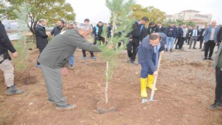 Milli Ağaçlandırma Gününde Cizrede fidanlar toprakla buluştu