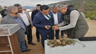 Milli Ağaçlandırma Gününde karbon zengini tohumlar toprakla buluşturuldu
