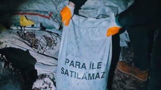 Muşta kamuya ait 172 ton kömürü satan 5 kişi tutuklandı