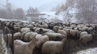 Muşta kar yağışı etkili oldu