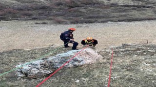Muşta kayalıkta mahsur kalan keçiler kurtarıldı