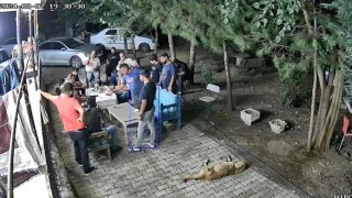 Narin Güran cinayetinde yeni görüntü dava dosyasına eklendi