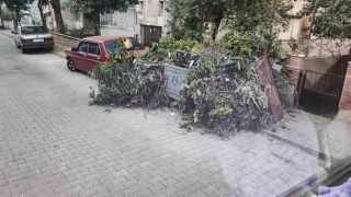Nazilli Belediyesi Temizlik İşleri Müdürlüğünden vatandaşlara çağrı