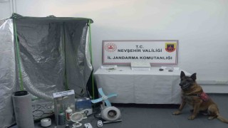 Nevşehirde Narkoçelik operasyonu: 7 gözaltı