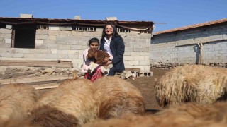 Öğrencilerine ödev olarak inek sağdıran ve kuzuları besleten Melahat öğretmenin öğrencilerinin 10 parmağında 10 marifet