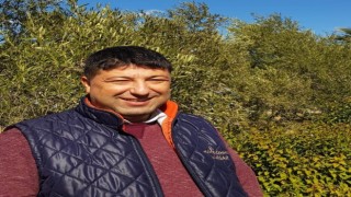 Oleolog Kıvrak: “Aşırı sıcaklar bu yıl zeytinyağını acı yaptı”