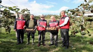 Ordu kivisi, ilin ekonomisine yaklaşık 300 milyon TL katkı sağlayacak