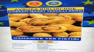 Osmaniye Ticaret Borsası’ndan Tepki: “Osmaniye Yer Fıstığı Adıyla Anılmalı”