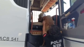 Osmaniyede uyuşturucu operasyonu: 32 tutuklama