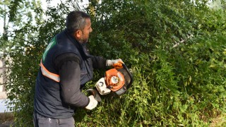 Osmaniye’nin Sokak Kuaförleri Şehri Yeşille Donatıyor