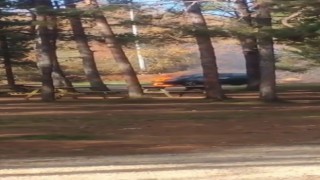 Park halindeki otomobil alev alev yandı