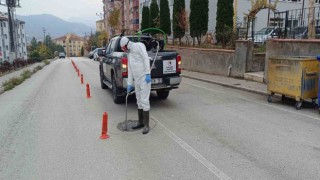 Rögarlarda ilaçlama çalışması yapıldı