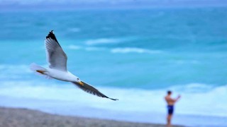 Rus turist fırtınanın oluşturduğu dev dalgalar arasında denize girdi, ceket giyenlere güldü