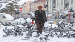 Rüyasında aldığı emirle 20 yıldır her gün kuşları besliyor