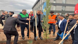 Sağlıkçılar Şırnakta 400 fidanı toprakla buluşturdu