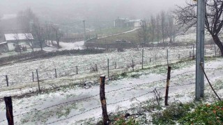 Sakaryada yüksek kesimlerde kar yağışı başladı