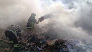 Samandağda çıkan kamışlık yangını söndürüldü