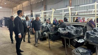 Samsatta narlar ihracat için paketlenerek depolanıyor