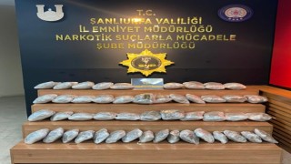 Şanlıurfada 29 kilogram skunk ele geçirildi: 1 gözaltı