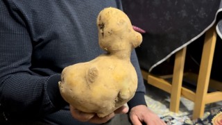 Satın aldığı patates çuvalında ördeğe benzer patates çıktı