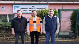 Şehre inen kurt belediye ekipleri tarafından yakalandı