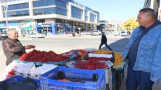 Seyyar doktor dağ bitkileriyle şifa dağıtıyor