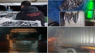 Sinopta 10 ton hamsiye el konuldu