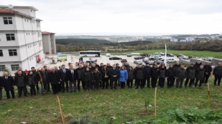 Sinopta 11 bin 610 fidan toprakla buluştu