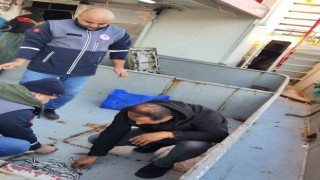 Sinopta 40 ton hamsiye el konuldu