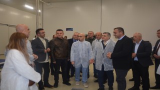 Sinopta Temel Sektörlerin Rekabetçiliğinin Artırılması Projesi