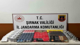 Şırnakta 11 şüpheliye işlem yapıldı